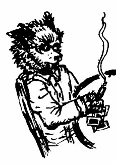 Werewolves Playing Poker