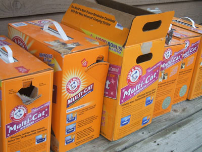 Litter Boxes, not Litter Boxes. You understand.